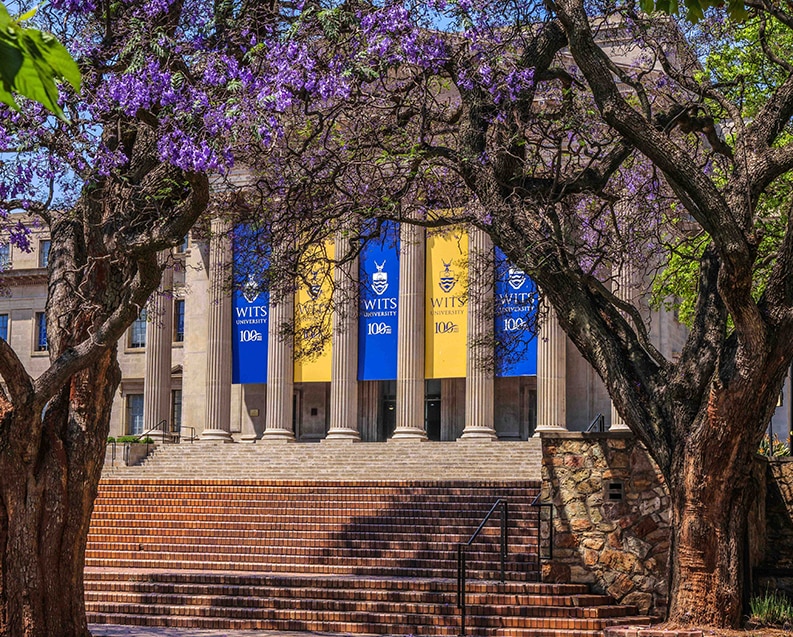 Universidad de Wits
