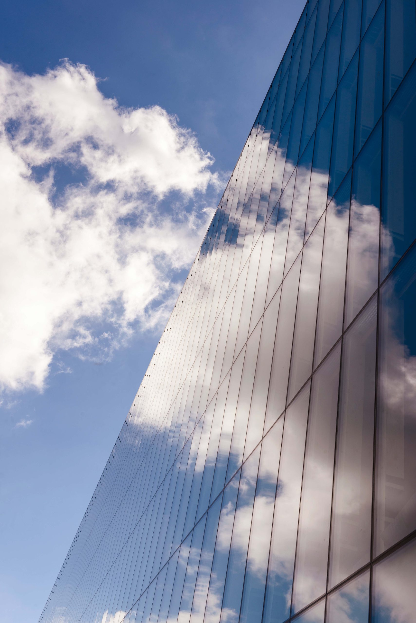 ¿Cómo se dibuja el panorama de la nube de 2025?
