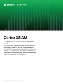 asset thumbnail